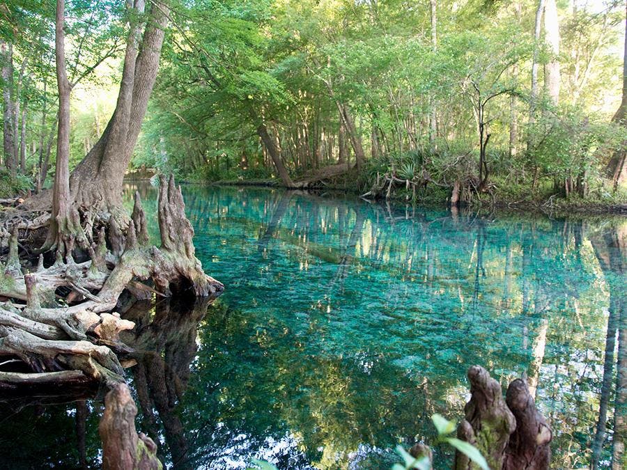 7 Reasons to Invest in Ocala Real Estate Highland Homes in Ocala